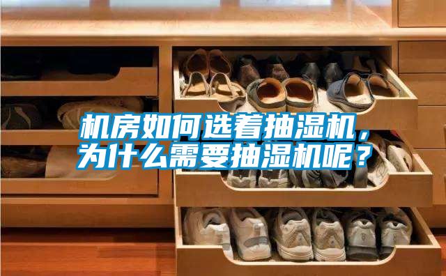 機房如何選著抽濕機，為什麽需要抽濕機呢？