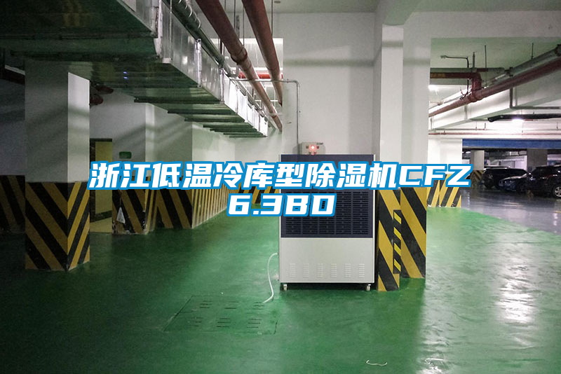 浙江低溫冷庫型91看片在线下载機CFZ6.3BD