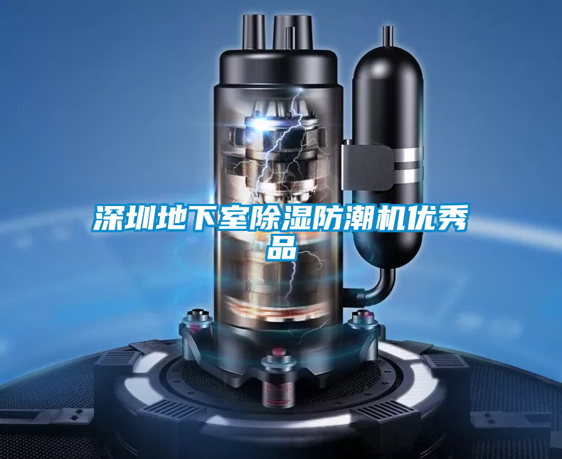 深圳地下室91看片在线下载防潮機優秀品