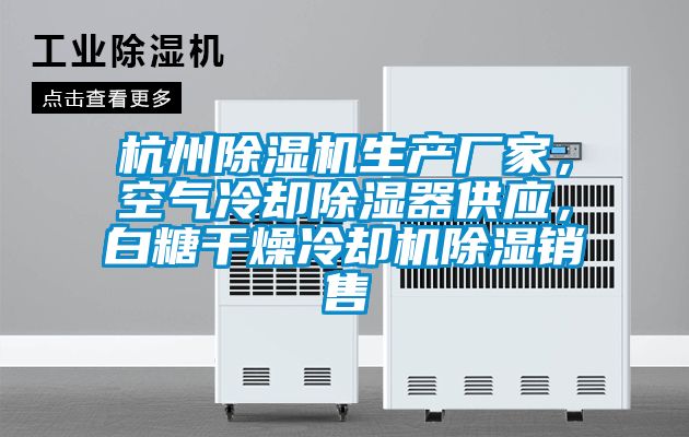 杭州91看片在线下载機生產廠家，空氣冷卻91看片在线下载器供應，白糖幹燥冷卻機91看片在线下载銷售