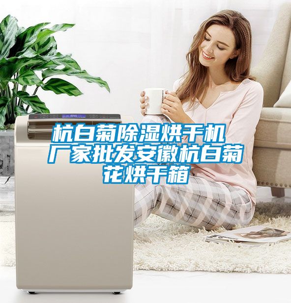 杭白菊91看片在线下载烘幹機 廠家批發安徽杭白菊花烘幹箱