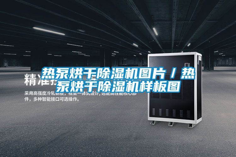 熱泵烘幹91看片在线下载機圖片／熱泵烘幹91看片在线下载機樣板圖