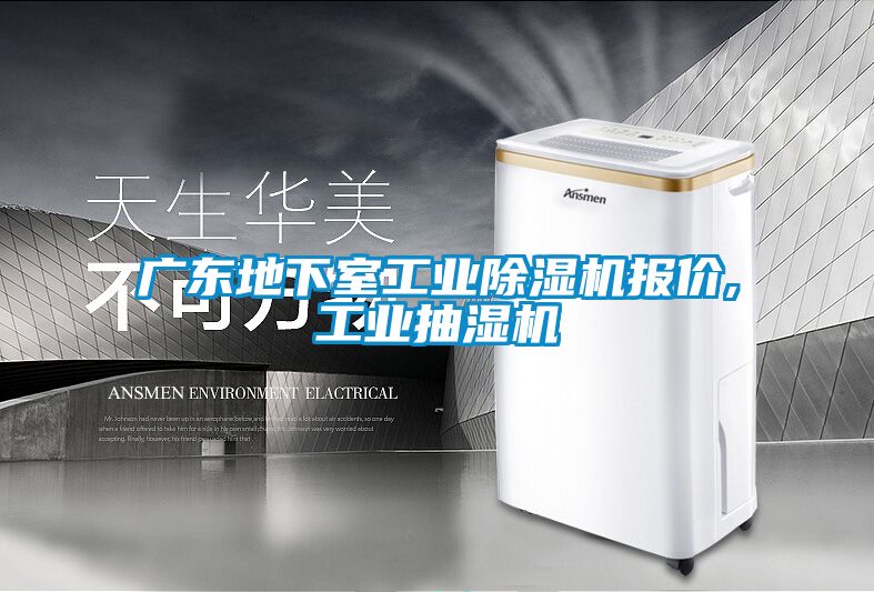 廣東地下室工業91看片在线下载機報價,工業抽濕機
