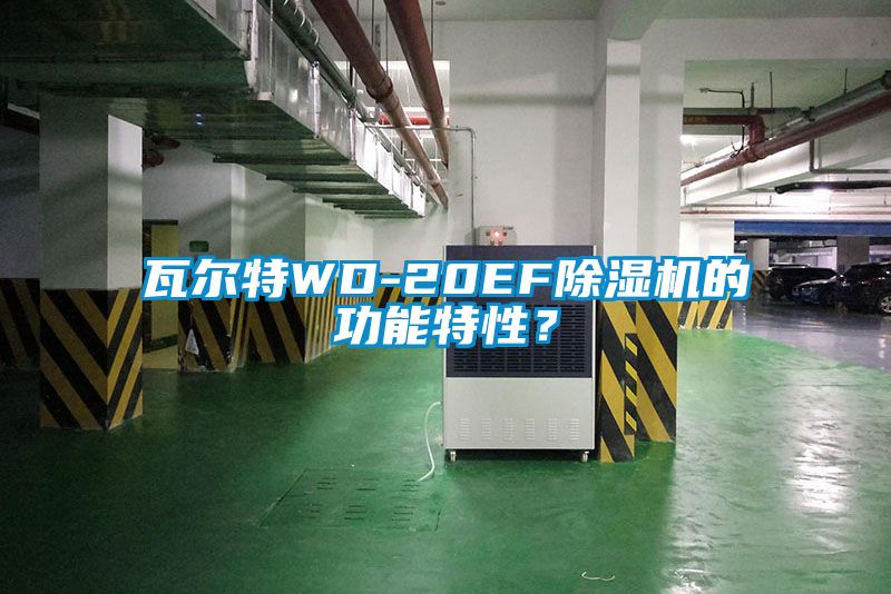 瓦爾特WD-20EF91看片在线下载機的功能特性？