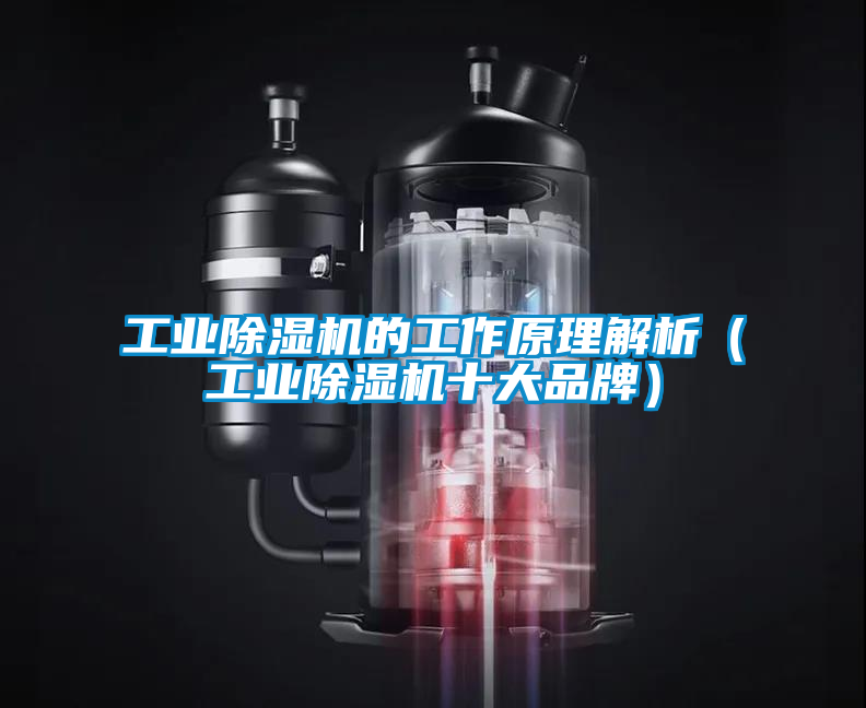 工業91看片在线下载機的工作原理解析（工業91看片在线下载機十大品牌）