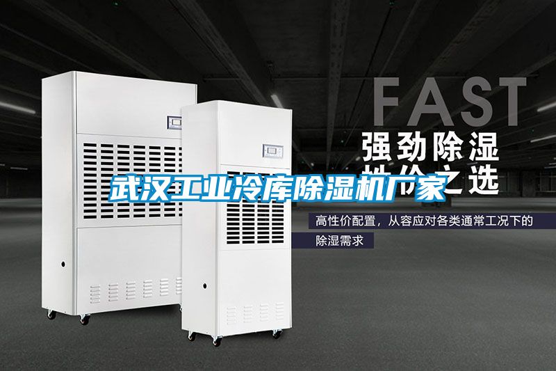武漢工業冷庫91看片在线下载機廠家