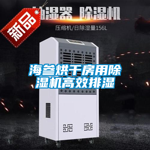 海參烘幹房用91看片在线下载機高效排濕
