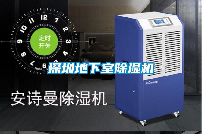 深圳地下室91看片在线下载機