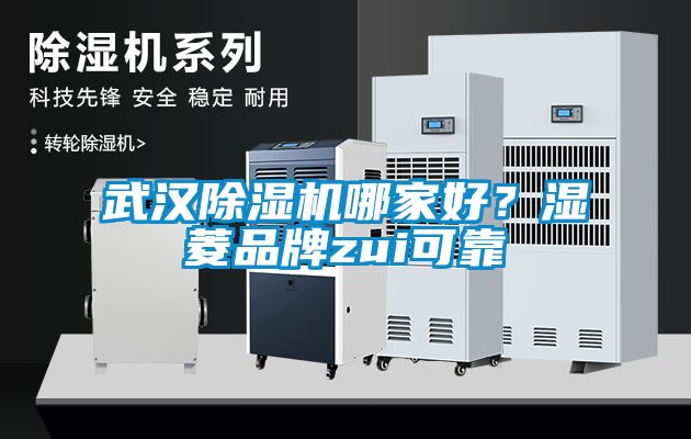 武漢91看片在线下载機哪家好？濕菱品牌zui可靠