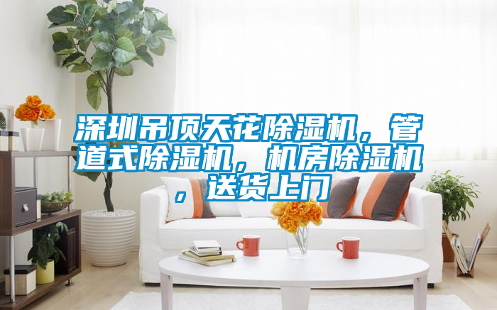 深圳吊頂天花91看片在线下载機，管道式91看片在线下载機，機房91看片在线下载機，送貨上門