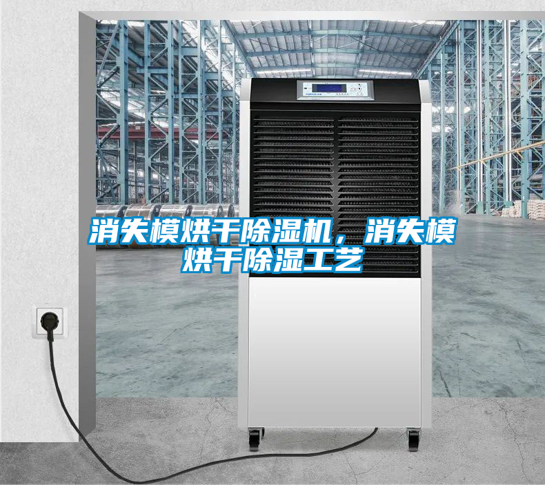 消失模烘幹91看片在线下载機，消失模烘幹91看片在线下载工藝