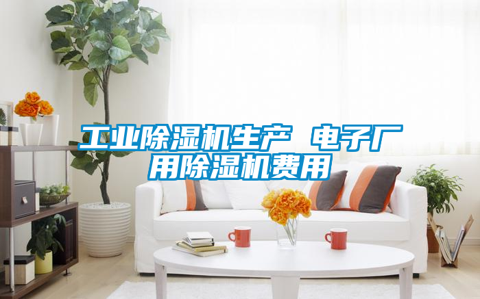 工業91看片在线下载機生產 電子廠用91看片在线下载機費用