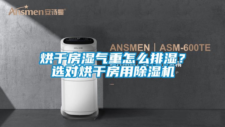 烘幹房濕氣重怎麽排濕？選對烘幹房用91看片在线下载機