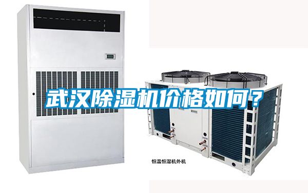 武漢91看片在线下载機價格如何？