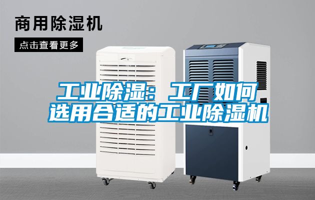 工業91看片在线下载：工廠如何選用合適的工業91看片在线下载機