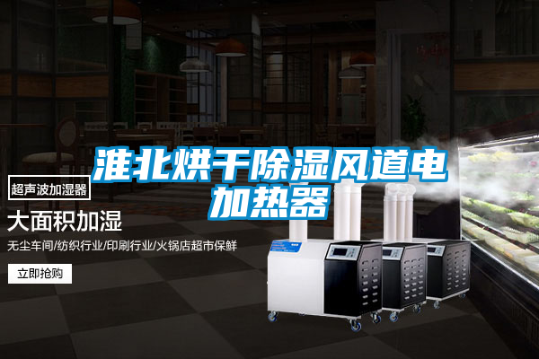 淮北烘幹91看片在线下载風道電加熱器
