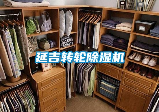延吉轉輪91看片在线下载機