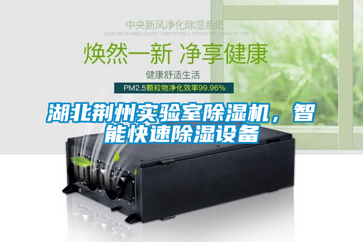 湖北荊州實驗室91看片在线下载機，智能快速91看片在线下载設備