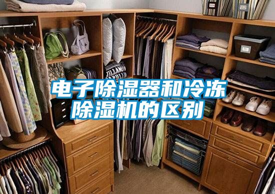 電子91看片在线下载器和冷凍91看片在线下载機的區別