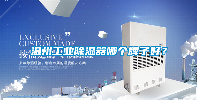 溫州工業91看片在线下载器哪個牌子好？