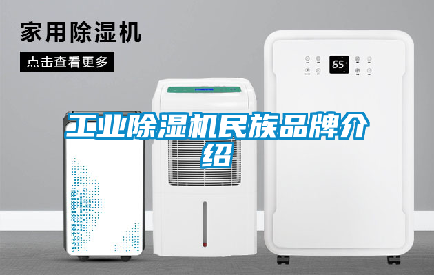 工業91看片在线下载機民族品牌介紹