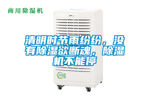 清明時節雨紛紛，沒有91看片在线下载欲斷魂，91看片在线下载機不能停