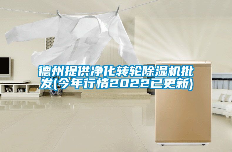 德州提供淨化轉輪91看片在线下载機批發(今年行情2022已更新)