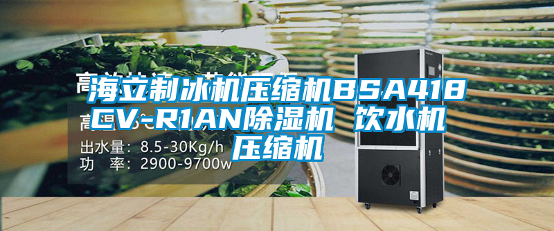 海立製冰機壓縮機BSA418CV-R1AN91看片在线下载機 飲水機 壓縮機