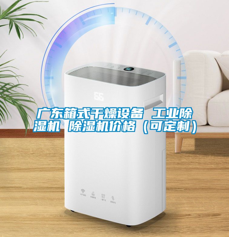 廣東箱式幹燥設備 工業91看片在线下载機 91看片在线下载機價格（可定製）