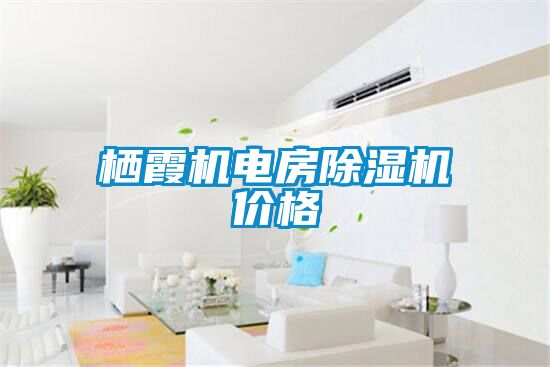 棲霞機電房91看片在线下载機價格