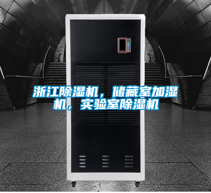 浙江91看片在线下载機，儲藏室加濕機，實驗室91看片在线下载機