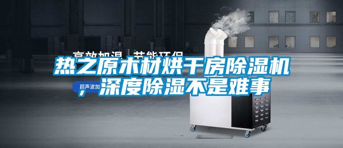 熱之原木材烘幹房91看片在线下载機，深度91看片在线下载不是難事
