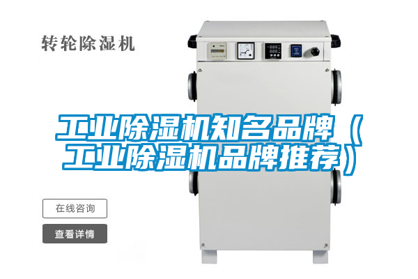 工業91看片在线下载機知名品牌（工業91看片在线下载機品牌推薦）
