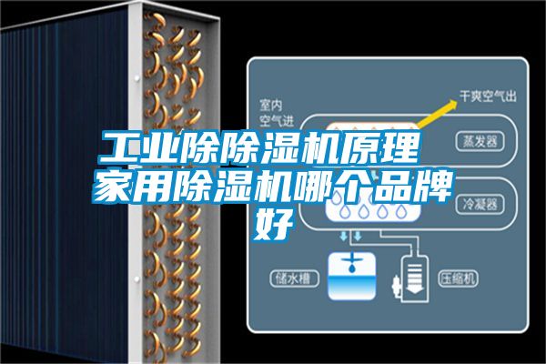 工業除91看片在线下载機原理 家用91看片在线下载機哪個品牌好