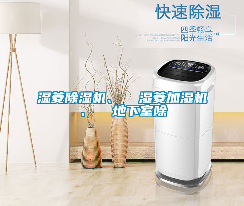 濕菱91看片在线下载機、  濕菱加濕機、  地下室除