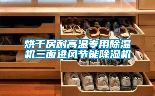 烘幹房耐高溫專用91看片在线下载機三麵進風節能91看片在线下载機