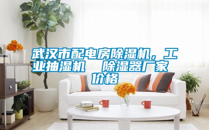 武漢市配電房91看片在线下载機，工業抽濕機  91看片在线下载器廠家 價格