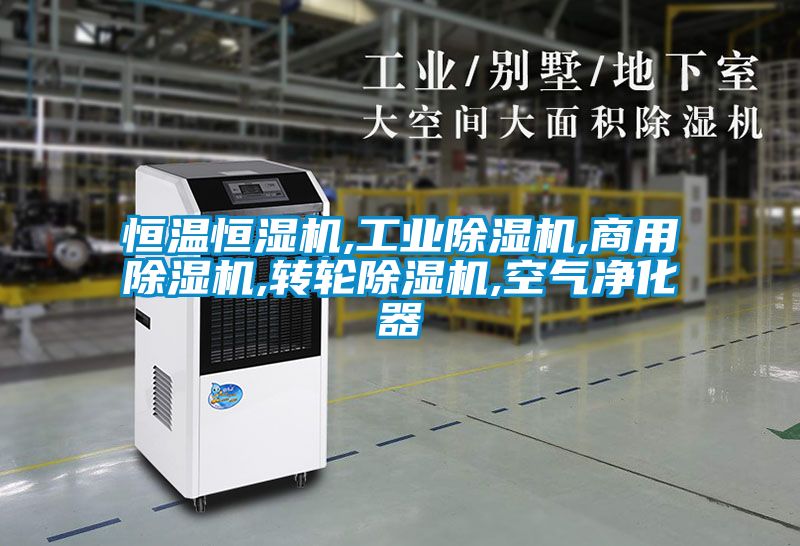 恒溫恒濕機,工業91看片在线下载機,商用91看片在线下载機,轉輪91看片在线下载機,空氣淨化器