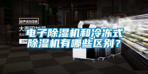 電子91看片在线下载機和冷凍式91看片在线下载機有哪些區別？