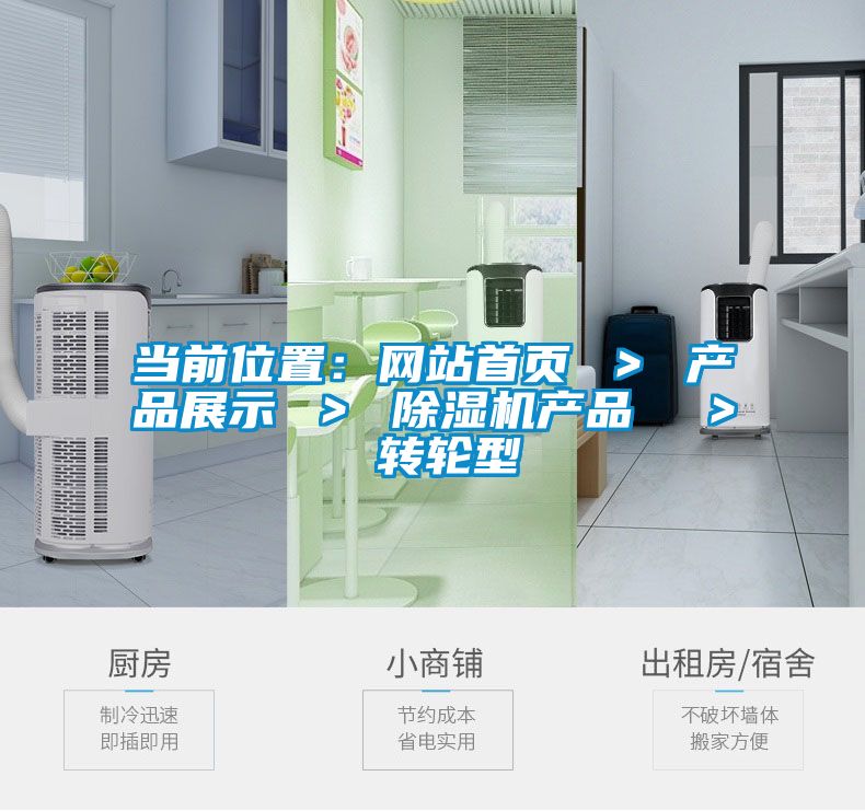 當前位置：網站首頁 ＞ 產品展示 ＞ 91看片在线下载機產品  ＞ 轉輪型