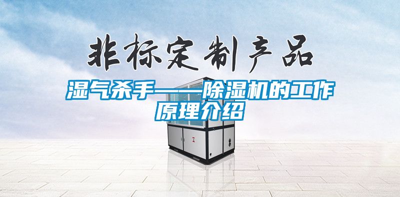 濕氣殺手——91看片在线下载機的工作原理介紹