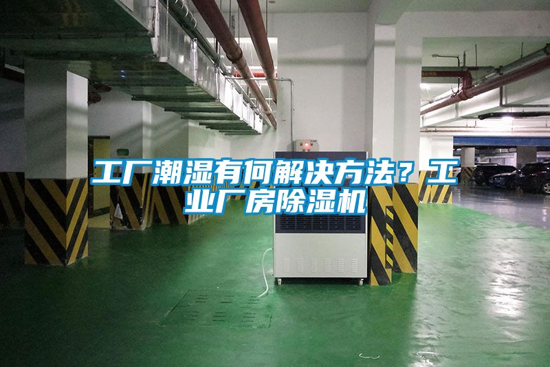 工廠潮濕有何解決方法？工業廠房91看片在线下载機