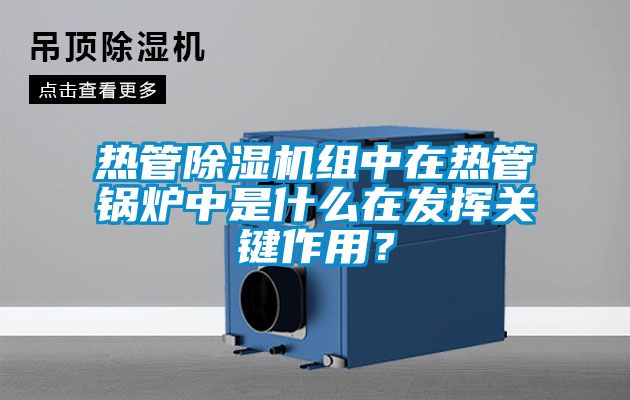 熱管91看片在线下载機組中在熱管鍋爐中是什麽在發揮關鍵作用？