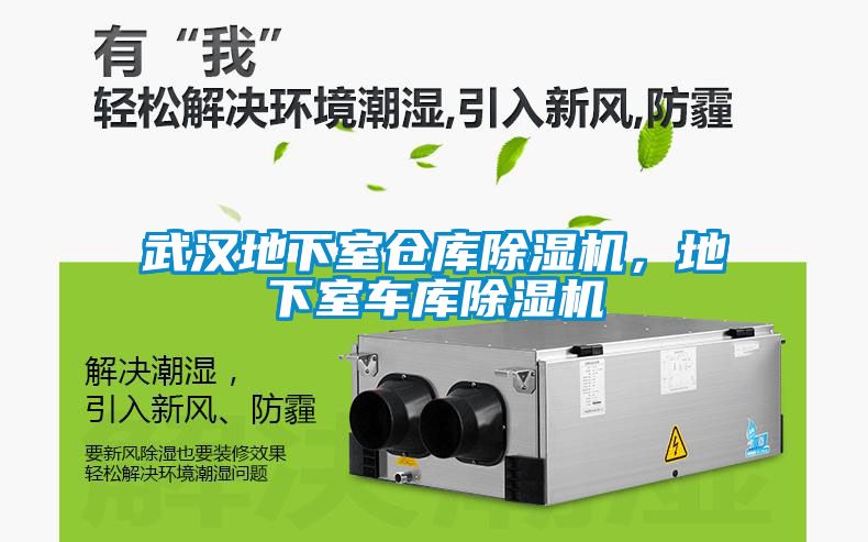 武漢地下室倉庫91看片在线下载機，地下室車庫91看片在线下载機
