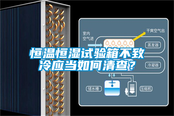 恒溫恒濕試驗箱不致冷應當如何清查？