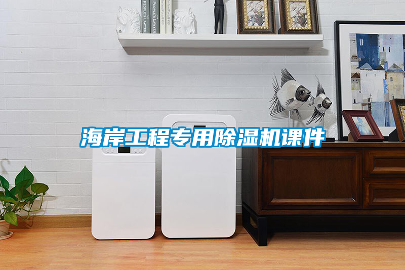 海岸工程專用91看片在线下载機課件