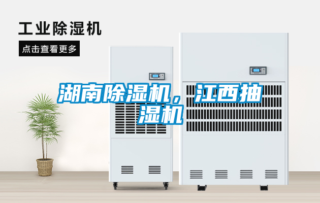 湖南91看片在线下载機，江西抽濕機