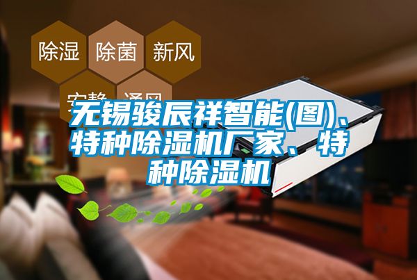 無錫駿辰祥智能(圖)、特種91看片在线下载機廠家、特種91看片在线下载機