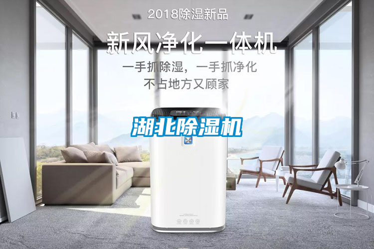 湖北91看片在线下载機