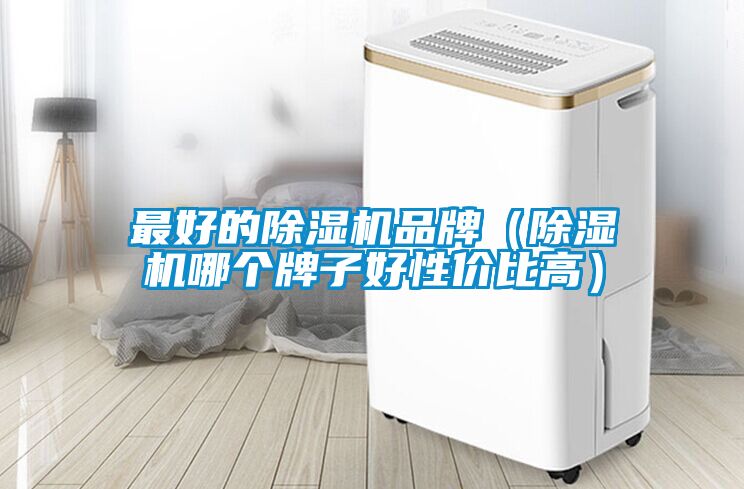 最好的91看片在线下载機品牌（91看片在线下载機哪個牌子好性價比高）